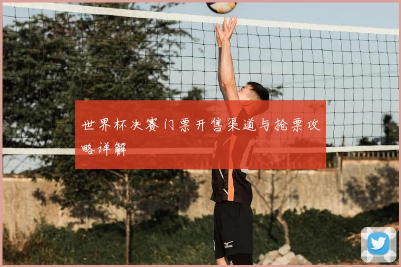 世界杯决赛门票开售渠道与抢票攻略详解