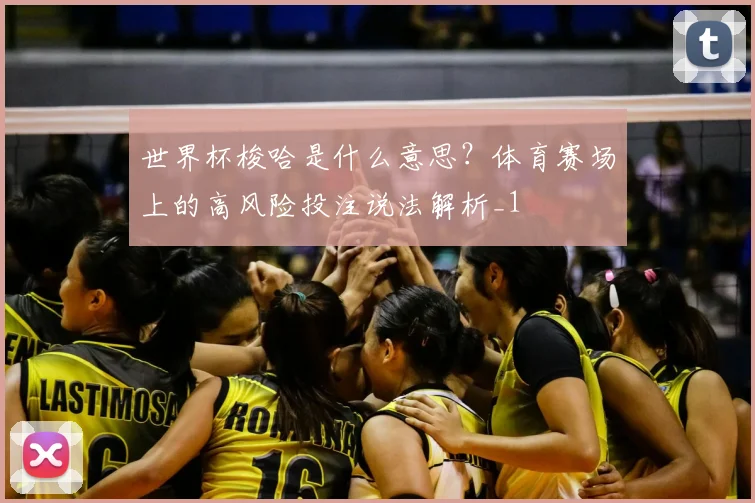 世界杯梭哈是什么意思?体育赛场上的高风险投注说法解析_1