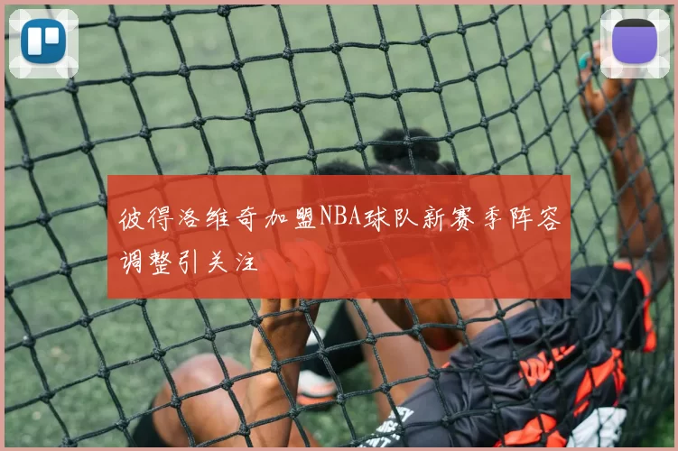 彼得洛维奇加盟NBA球队新赛季阵容调整引关注