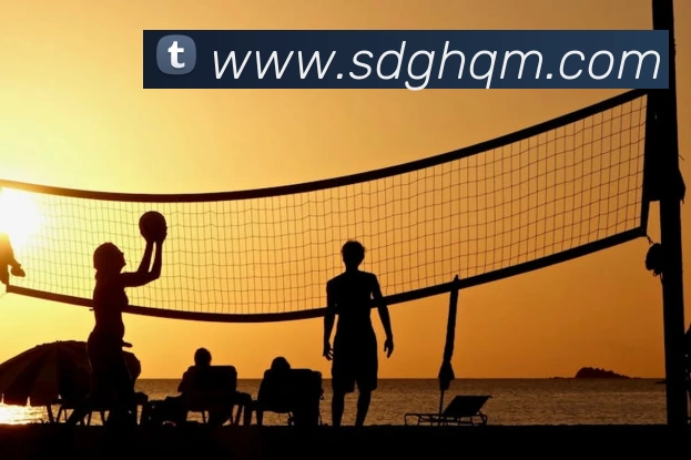 多媒体互动体验